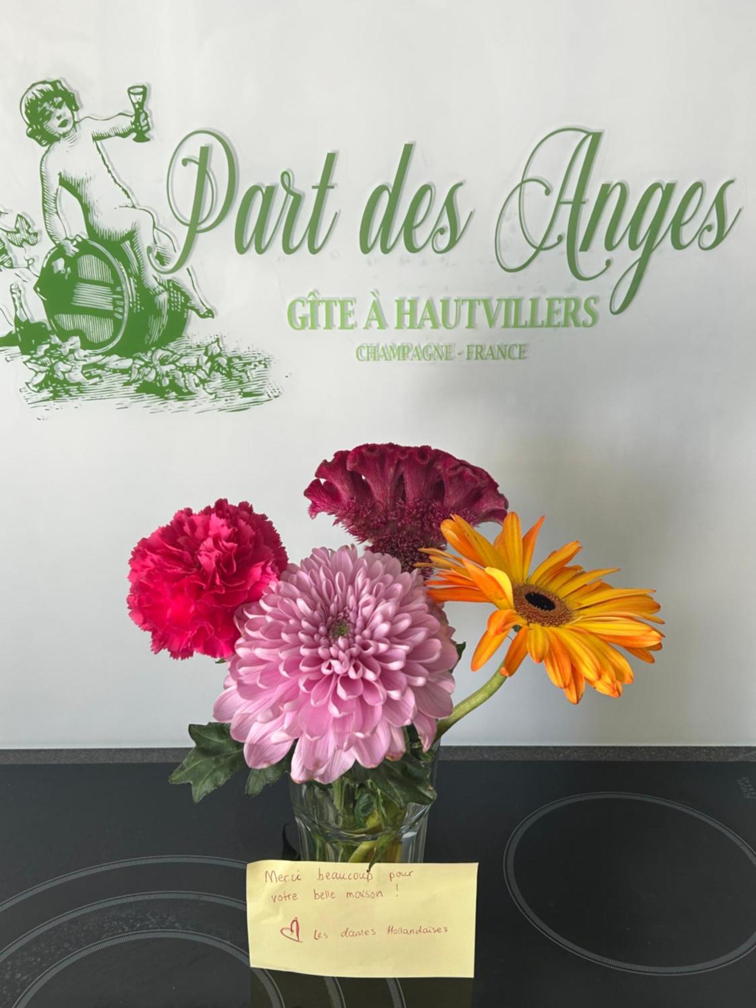 Part Des Anges - Gite Hautvillers Exteriör bild